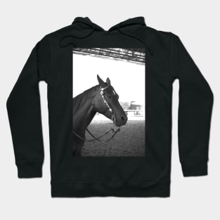 Beautiful horse Hoodie